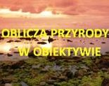 Ilustracja do artykułu: Zapraszamy na wernisaż