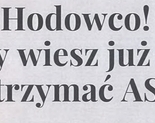 Ilustracja do artykułu: Hodowco - Czy wiesz jak zatrzymać ASF?