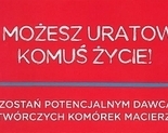Ilustracja do artykułu: Zostań potencjalnym dawcą szpiku