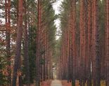 Ilustracja do artykułu: Ścieżka Cyk-Dolaszewo odebrana