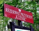 Ilustracja do artykułu: Byliśmy w Kuźniku