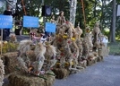 dsc_0077 640x425