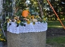 dsc_0120 425x640