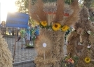 Zdjęcie z galerii: Dożynki Gminne 2015