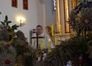 dg_2015_41